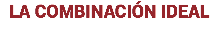 LA COMBINACIÓN IDEAL